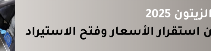 موسم زيت الزيتون 2025 موسم زيت الزيتون 2025