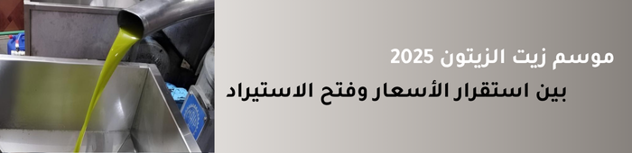 موسم زيت الزيتون 2025 موسم زيت الزيتون 2025