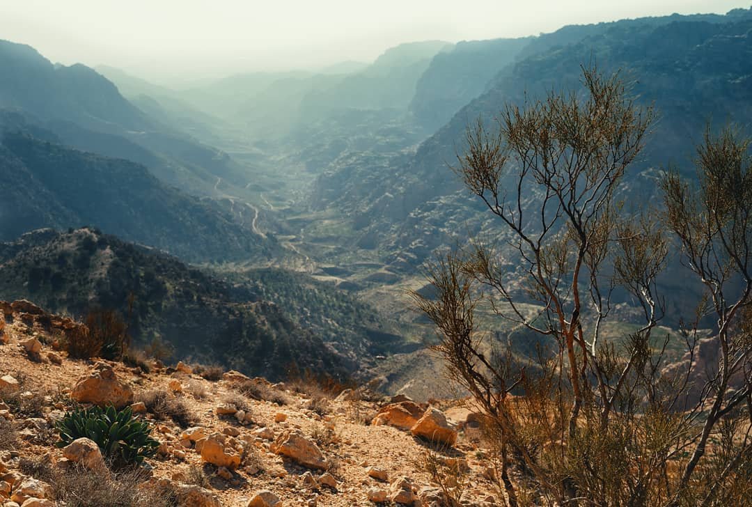 محمية ضانا | صور جوجل