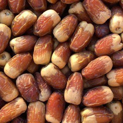 التمر الصقعي / السعودية 