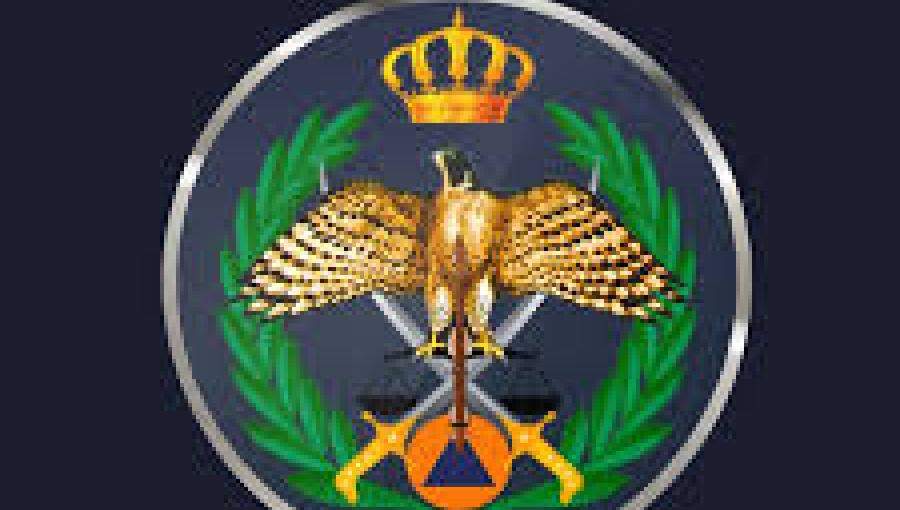 مديرية الأمن العام