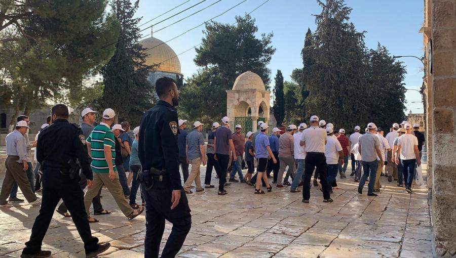 مستوطنون متطرفون يقتحمون المسجد الأقصى المبارك بحماية شرطة الاحتلال مستوطنون متطرفون يقتحمون المسجد الأقصى المبارك بحماية شرطة الاحتلال