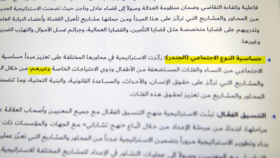 حساسية النوع الاجتماعي (الجندر) أحد مبادئ استراتيجية قطاع العدالة حساسية النوع الاجتماعي (الجندر) أحد مبادئ استراتيجية قطاع العدالة