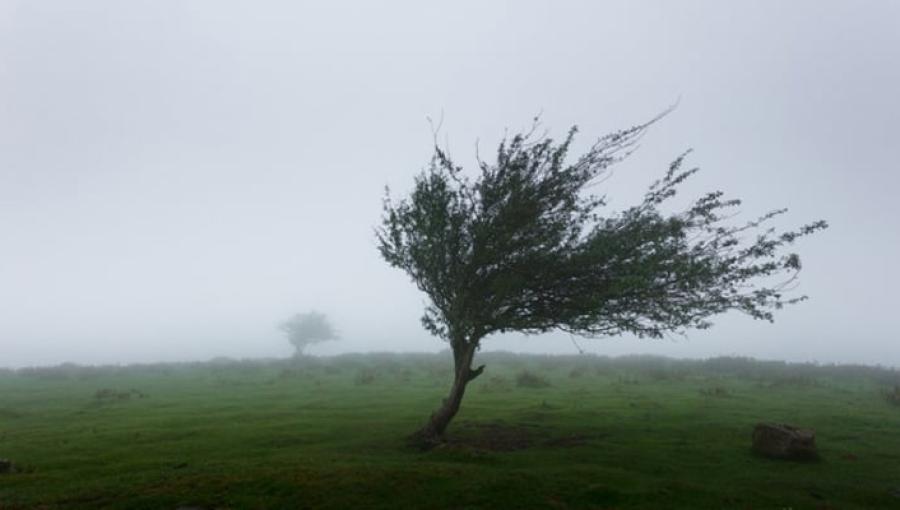 صورة تعبيرية عن الرياح صورة تعبيرية عن الرياح
