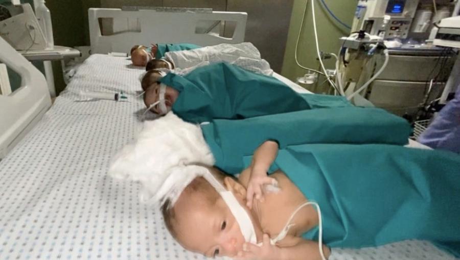 الخدج على سرير واحد في مجمع الشفاء الطبي تجميع الخدج على سرير واحد في مجمع الشفاء الطبي بعد انقطاع الأكسجين في الحضانات