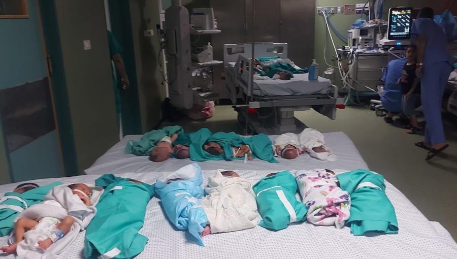 خدّج تم إخراجهم من الحضانات بسبب انقطاع التيار ونفاد الأكسجين في مستشفى الشفاء غزة 12 تشرين الثاني 2023 خدّج تم إخراجهم من الحضانات بسبب انقطاع التيار ونفاد الأكسجين في مستشفى الشفاء غزة 12 تشرين الثاني 2023