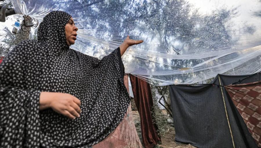 امرأة في غزة تغطي الخيمة بكيس بلاستيكي لحمايتها من المطر امرأة في غزة تغطي الخيمة بكيس بلاستيكي لحمايتها من المطر