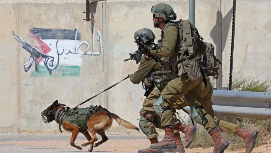 صورة أرشيفية لجنود من جيش الاحتلال الإسرائيلي مع كلب يعتمدون عليه في عمليات الاقتحام صورة أرشيفية لجنود من جيش الاحتلال الإسرائيلي مع كلب يعتمدون عليه في عمليات الاقتحام | المصدر: وكالة الأنباء الفرنسية