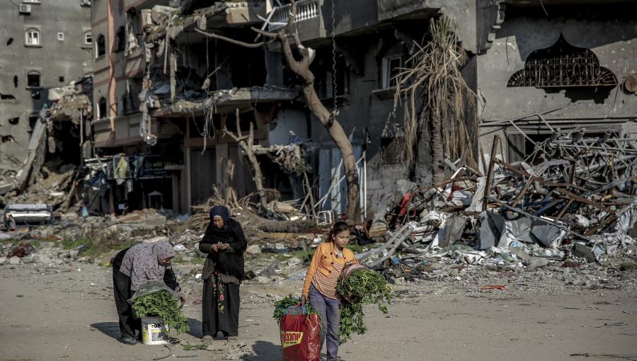 طفلة في قطاع غزة تحمل الأعشاب بعد قطفها لأكلها بسبب منع الاحتلال إدخال المساعدات طفلة في قطاع غزة تحمل الأعشاب بعد قطفها لأكلها بسبب منع الاحتلال إدخال المساعدات | المصدر: فرانس برس