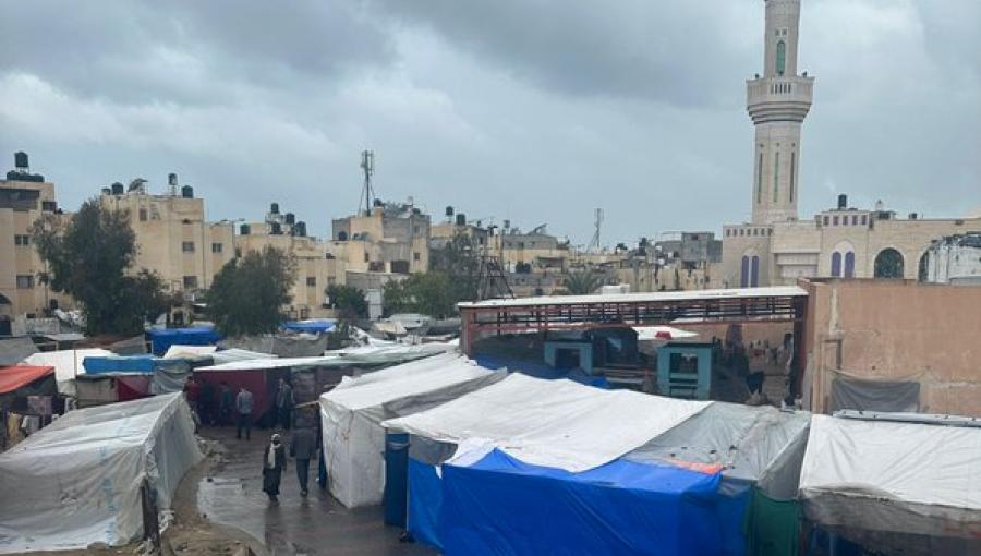 خيام للاجئين في رفح خيام للاجئين في رفح | المصدر: أونروا