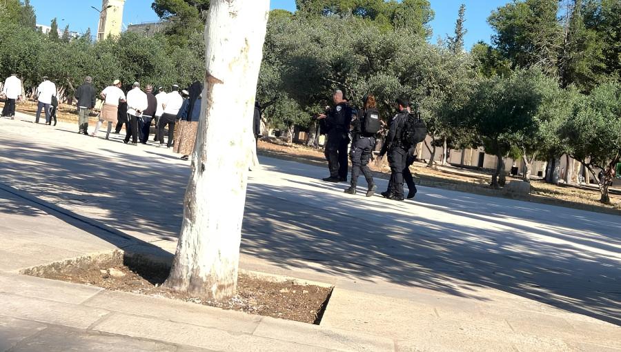 اقتحام المسجد الأقصى مستوطنون وجنود الاحتلال خلال أحد الاقتحامات السابقة للمسجد الأقصى | المصدر: العاصمة