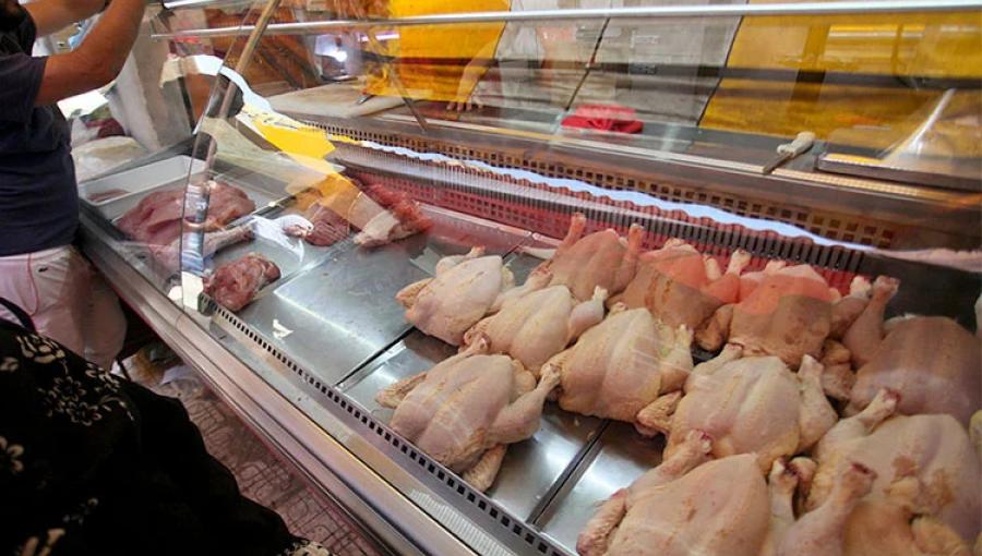 ثلاجة دجاج طازج في أحد المحال التجارية ثلاجة دجاج طازج في أحد المحال التجارية