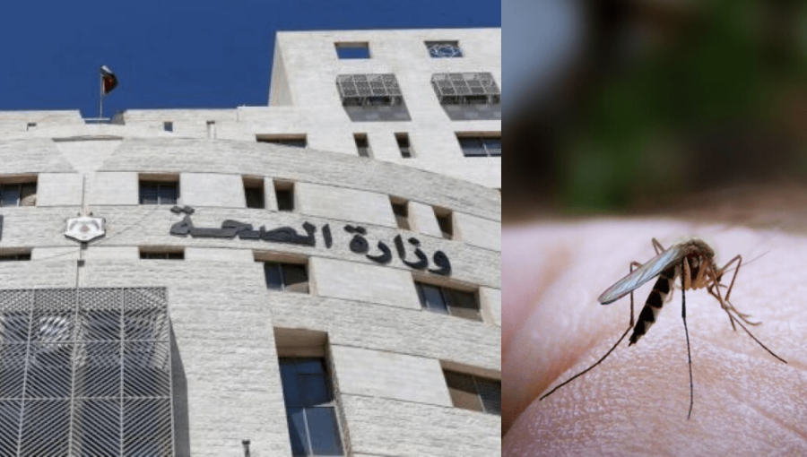 مبنى وزارة الصحة مع صورة تعبيرية لبعوضة مبنى وزارة الصحة مع صورة تعبيرية لبعوضة
