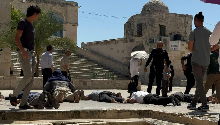 مستوطنون يؤدون سجودا جماعيا بالقرب من باب القطانين مستوطنون يؤدون سجودا جماعيا بالقرب من باب القطانين أحد أبواب المسجد الأقصى 13/8/2024 | المصدر: فلسطين بوست