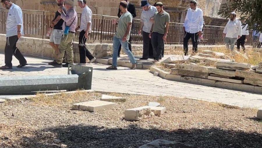 من اقتحامات المستوطنين المستمرة للمسجد الأقصى المبارك في ما يسمى "رأس السنة العبرية" من اقتحامات المستوطنين المستمرة للمسجد الأقصى المبارك في ما يسمى "رأس السنة العبرية" | المصدر: العاصمة