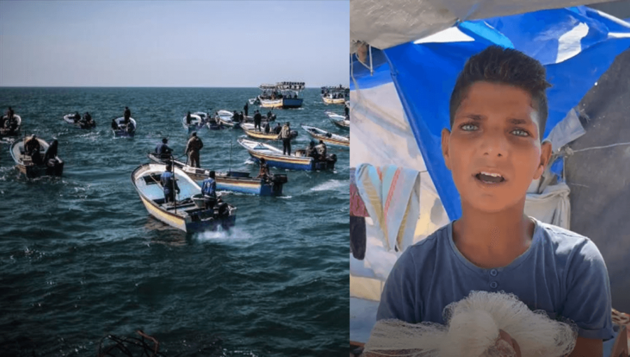 فتى غزي يعمل في الصيد فتى غزي يعمل في الصيد