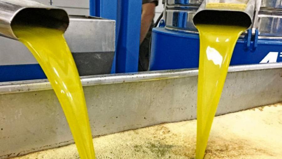 تدفق زيت الزيتون الطازج من أنابيب معدنية داخل معصرة حديثة