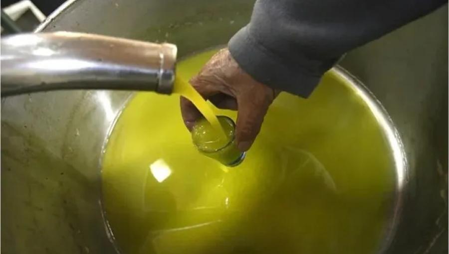 يد شخص يملأ كأسا بزيت الزيتون الطازج الخارج من معصرة