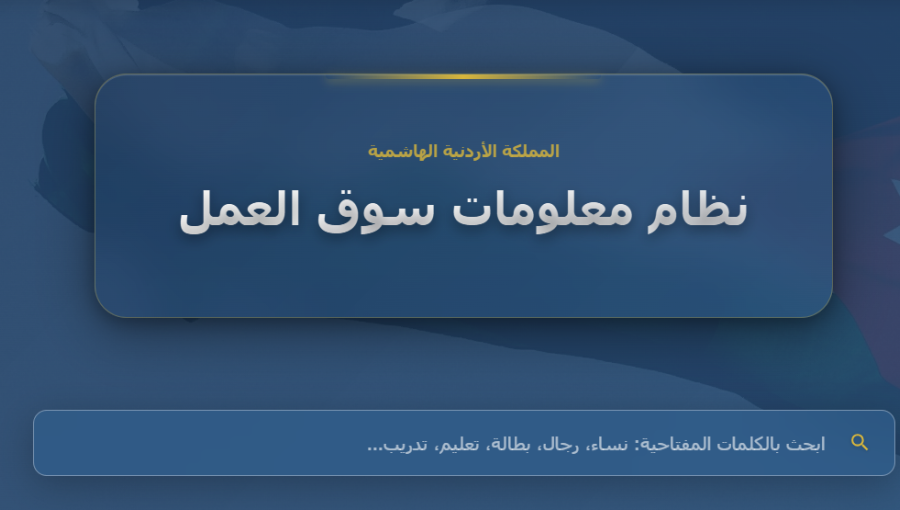 لقطة شاشة من موقع نظام معلومات سوق العمل