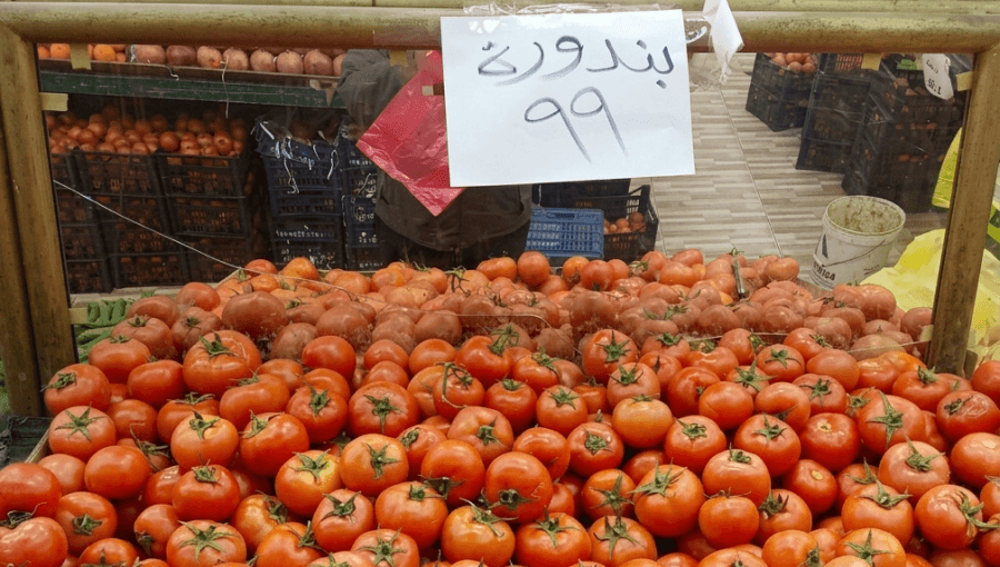 كميات من البندورة معروضة للبيع في أحد المحال التجارية