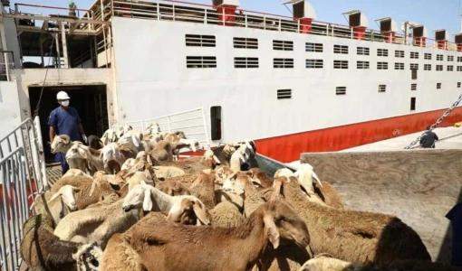 صورة تعبيرية