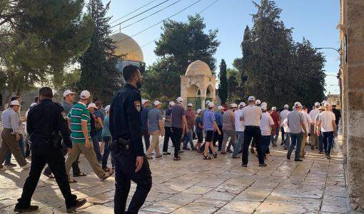 مستوطنون متطرفون يقتحمون المسجد الأقصى المبارك بحماية شرطة الاحتلال مستوطنون متطرفون يقتحمون المسجد الأقصى المبارك بحماية شرطة الاحتلال