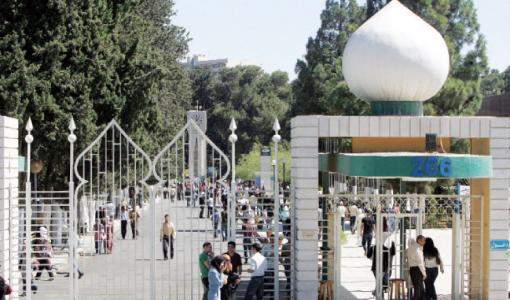 الجامعة الأردنية- عمان الجامعة الأردنية- عمان