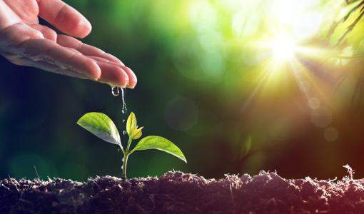 يوم البيئة العالمي