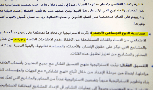 حساسية النوع الاجتماعي (الجندر) أحد مبادئ استراتيجية قطاع العدالة
