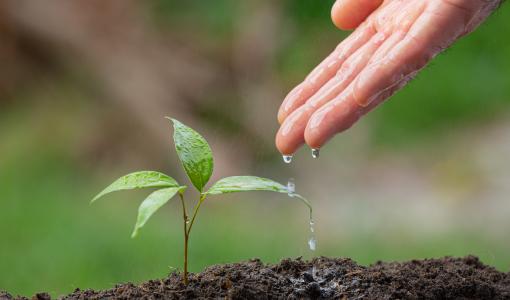 يوم التطوع العالمي