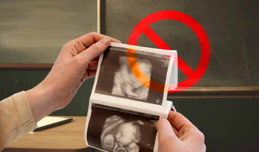 فحص حمل عبر الموجات فوق الصوتية