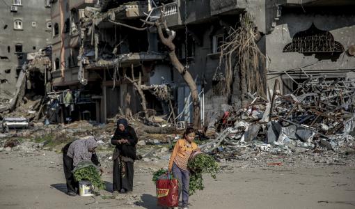 طفلة في قطاع غزة تحمل الأعشاب بعد قطفها لأكلها بسبب منع الاحتلال إدخال المساعدات | المصدر: فرانس برس