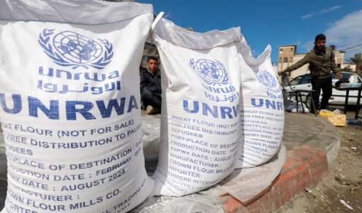 أكياس طحين توزعها الأونروا على أهل غزة وسط المجاعة ومنع الاحتلال إدخال المساعدات 7/3/2024 | المصدر: رويترز