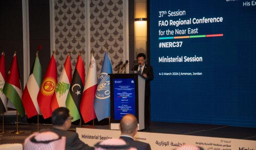 مدير عام منظمة الأغذية والزراعة للأمم المتحدة (الفاو) شو دونيو 4/3/2024 عمّان | المصدر: منظمة الأغذية والزراعة للأمم المتحدة