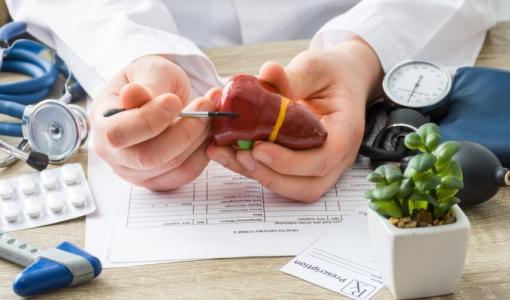 طبيب يمسك بمجسم للكبد | تعبيرية