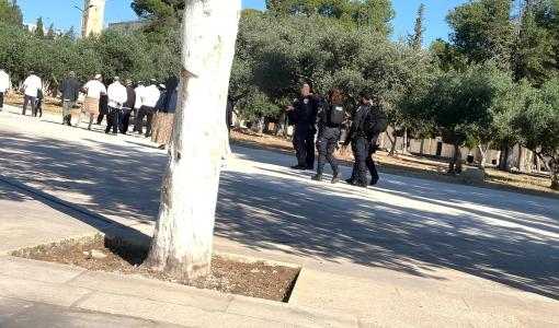 مستوطنون وجنود الاحتلال خلال أحد الاقتحامات السابقة للمسجد الأقصى | المصدر: العاصمة