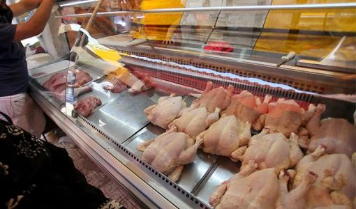 ثلاجة دجاج طازج في أحد المحال التجارية