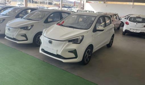 سيارات كهربائية صينية من نوع "شانجان" تباع في الأردن