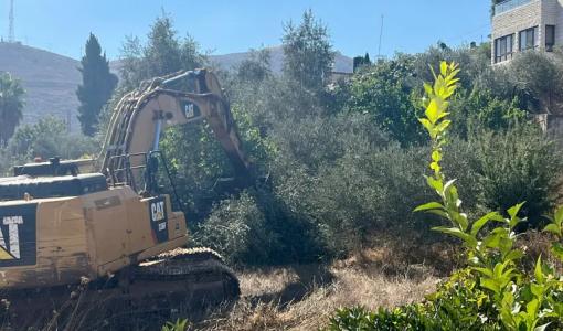 جرافات الاحتلال تقتلع أشجار الزيتون بالضفة جرافات الاحتلال تقتلع أشجار الزيتون بالضفة | المصدر: الجزيرة