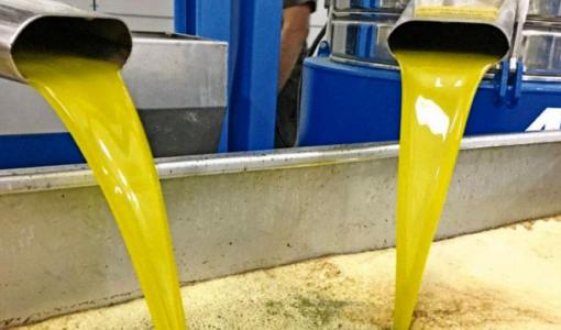 تدفق زيت الزيتون الطازج من أنابيب معدنية داخل معصرة حديثة