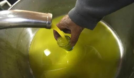 يد شخص يملأ كأسا بزيت الزيتون الطازج الخارج من معصرة