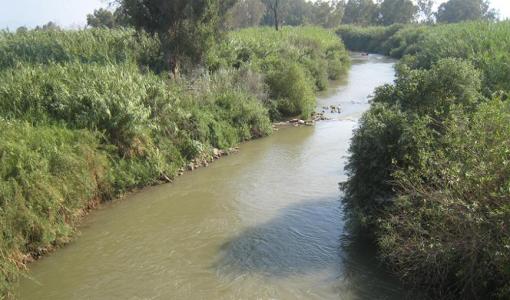 جزء من نهر الأردن في الأغوار الشمالية