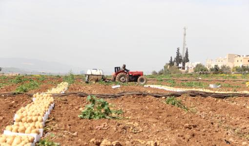 إحدى المزارع في الأردن | حبر