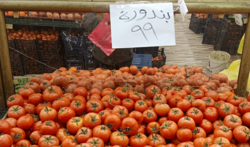 كميات من البندورة معروضة للبيع في أحد المحال التجارية