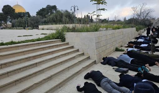 مستوطنون يدنسون الأقصى عبر تأدية طقوس تلمودية في باحاته 9/4/2026