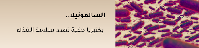 السالمونيلا