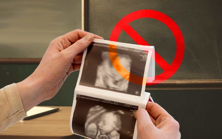 فحص حمل عبر الموجات فوق الصوتية