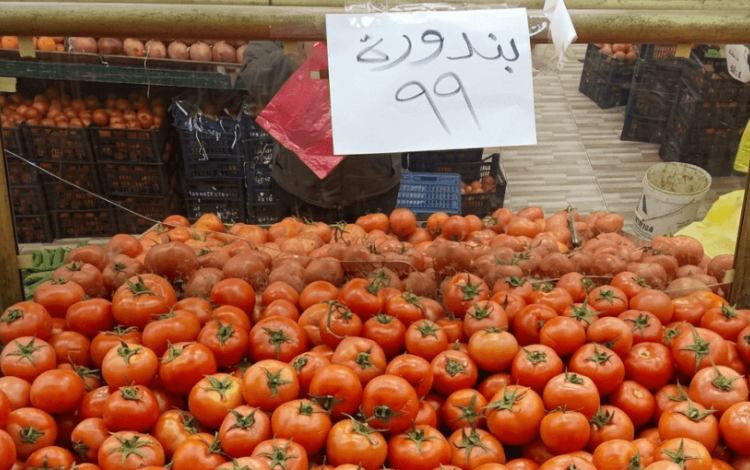 كميات من البندورة معروضة للبيع في أحد المحال التجارية