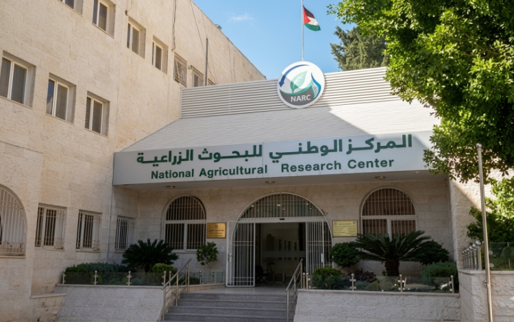 المركز الوطني للبحوث الزراعية