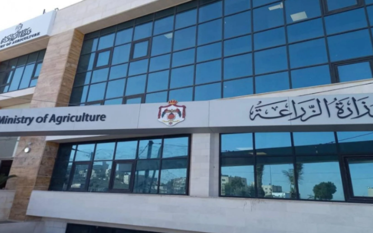 مقر وزارة الزراعة | بترا